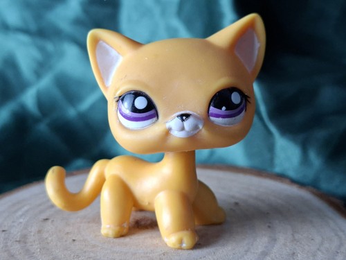Littlest pet shop shorthair - pet,