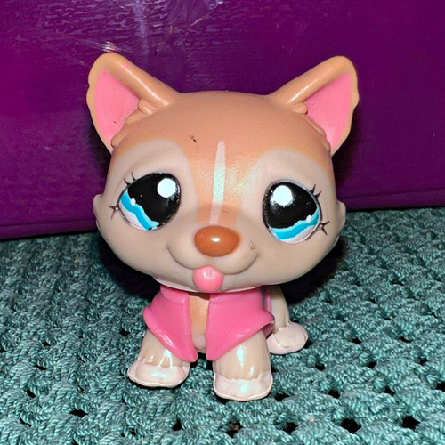 Littlest pet shop husky 1012 - husky,