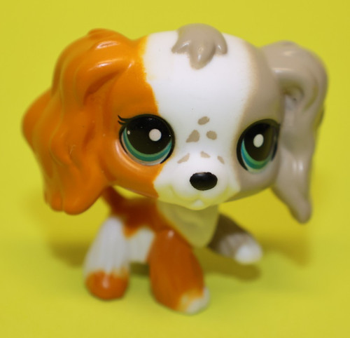 Bandai lps littlest pet - ,