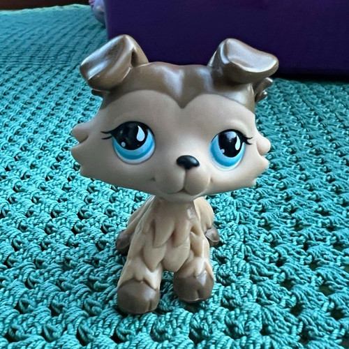 Littlest pet shop collie 893 - pet,