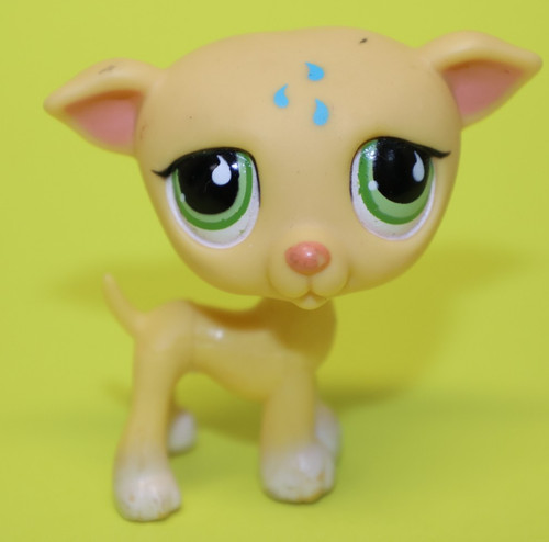 Hasbro lps littlest - hasbro, shop