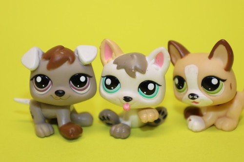 Hasbro lps littlest - lps, shop