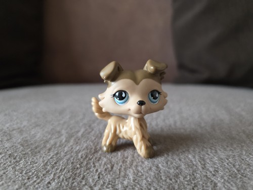 Littlest pet shop 893 hund - littlest,