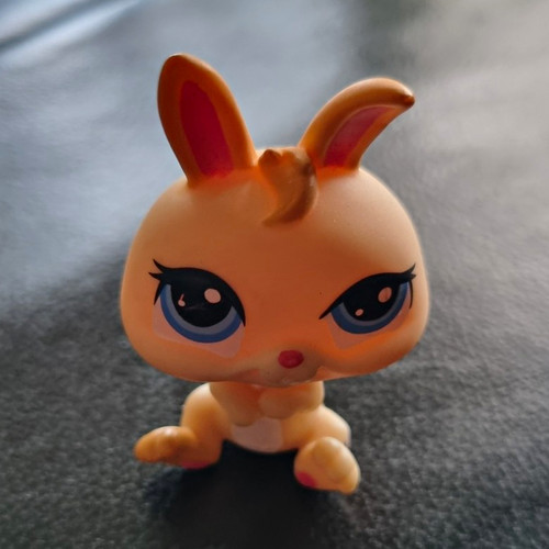 Littlest pet shop - pet,