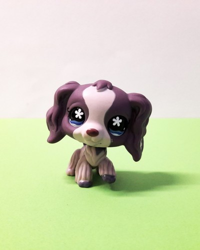 Lps littlest pet shop cocker - lps,