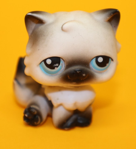 Hasbro littlest pet shop - pet, katze