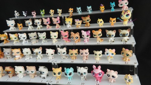 Littlest pet shop lps katzen - littlest,