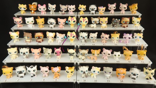 Lps katzen viele littlest pet - littlest,