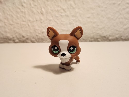 Littlest pet shop lps hund - shop,