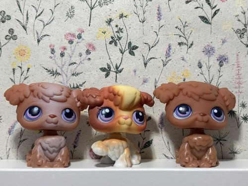 Littlest pet shop set - shop,