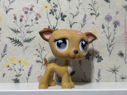 Littlest pet shop - shop, #498