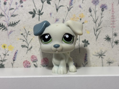 Littlest pet shop - pet, #1426
