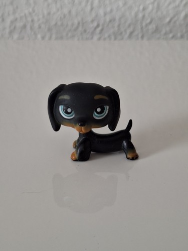 Littlest pet shop dackel - littlest,