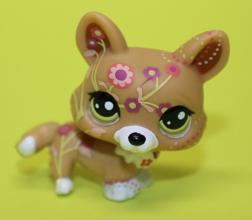 Hasbro lps littlest - hasbro, shop