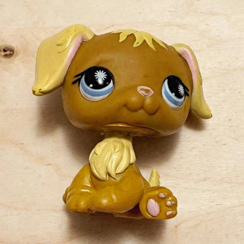 Littlest pet shop hund - shop,