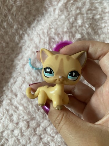 Lps 886 kurzhaarkatze mit - #886,