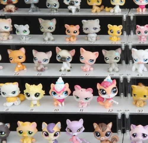 Littlest pet shop katzen - littlest,