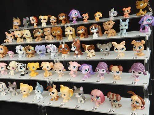 Viele lps hunde welpen - viele, lps-hunde,
