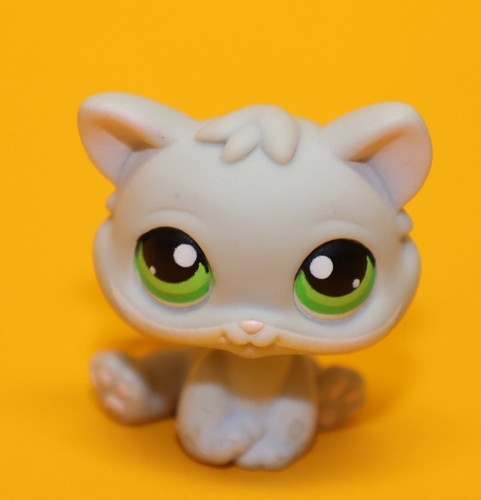 Hasbro littlest pet shop - pet,
