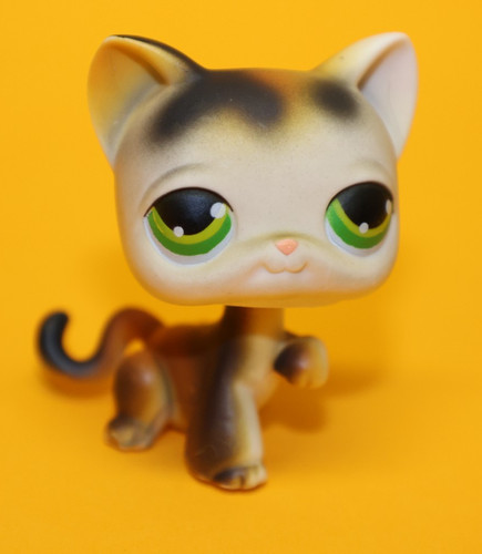 Hasbro littlest pet shop katze - pet,