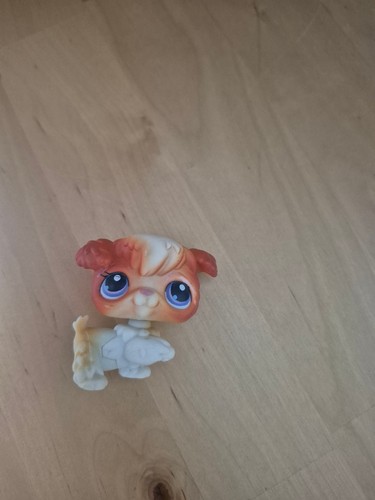 Littlest pet shop - pet, pudel