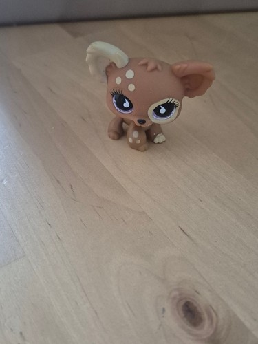 Littlest pet shop - pet, chihuahua