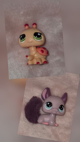 Littlest pet shop marienkäfer - pet,