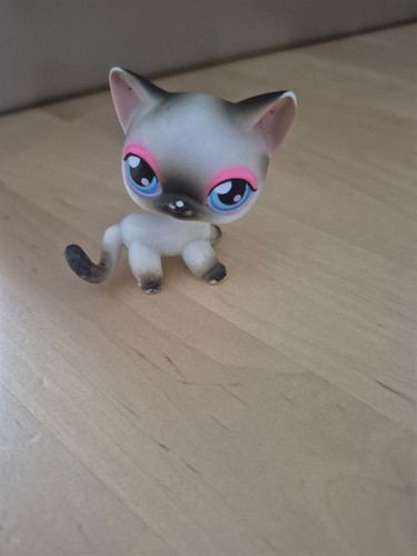 Littlest pet shop siam cat - shop,