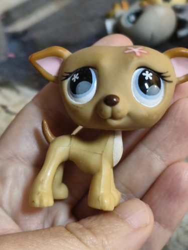 Littlest pet shop perro 498 - littlest, #498