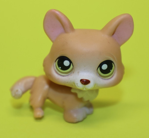 Hasbro lps littlest pet shop - littlest,