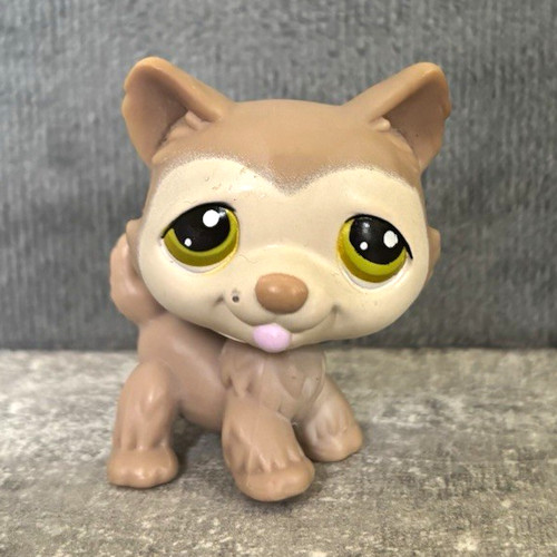 Littlest pet shop lps - shop,