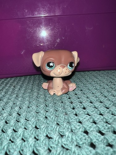 Littlest pet shop mops 889 - mops,