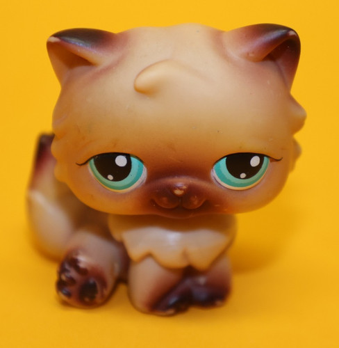 Hasbro littlest pet - shop, katze