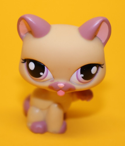 Hasbro littlest pet shop - pet, katze