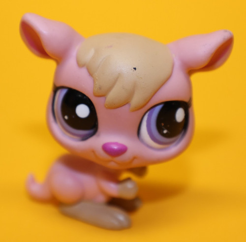 Hasbro littlest pet - hasbro, wild